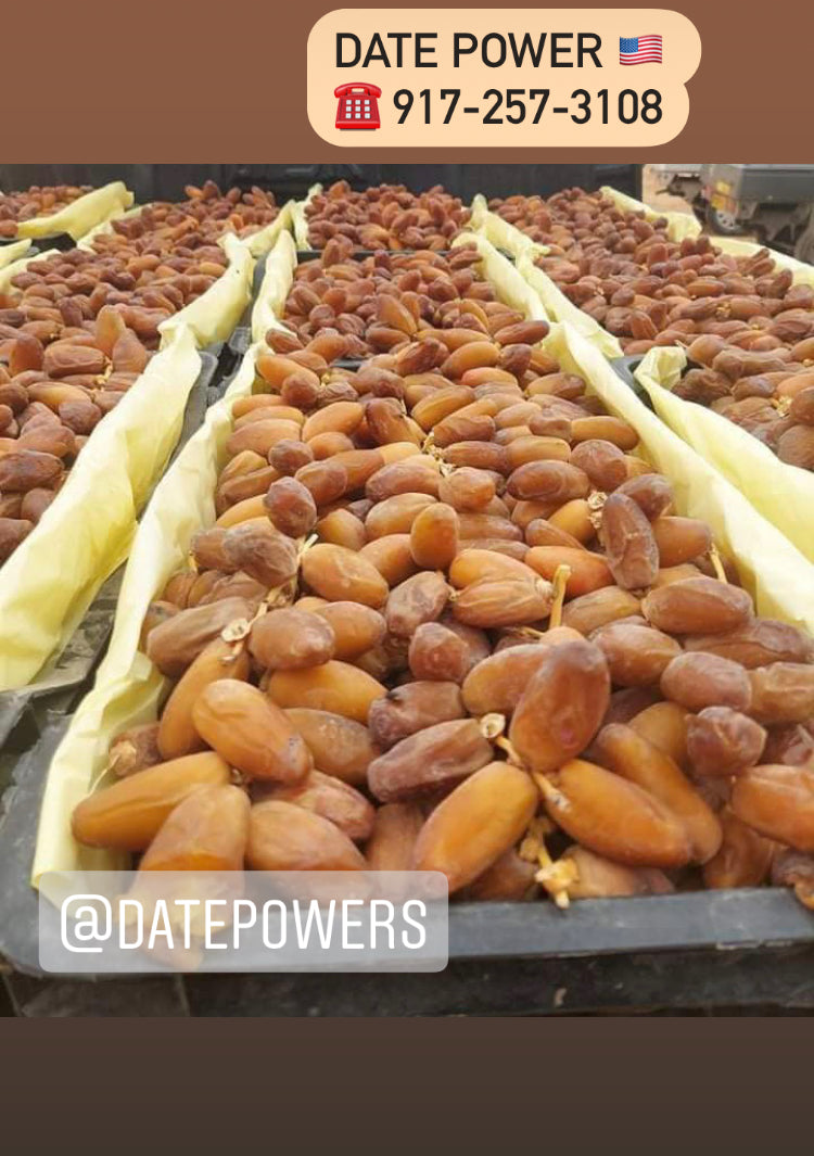 2 LBs. Deglet Noor Dates from Algeria 100% Natural, Nutritional Properties, Sun-Dried Fruit, Translucent Color and Elegant Shape