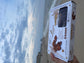 1 LB Deglet Noor Dates from Algeria 100% Natural, Nutritional Properties, Sun-Dried Fruit, Translucent Color and Elegant Shape