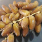 1 LB Deglet Noor Dates from Algeria 100% Natural, Nutritional Properties, Sun-Dried Fruit, Translucent Color and Elegant Shape