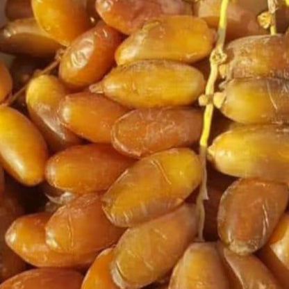 2 LBs. Deglet Noor Dates from Algeria 100% Natural, Nutritional Properties, Sun-Dried Fruit, Translucent Color and Elegant Shape